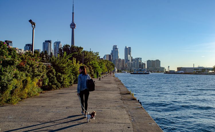 Toronto waterfront