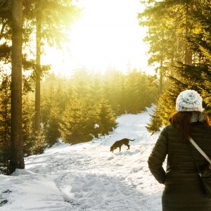 Woman walking her dog in a forest in Czechia